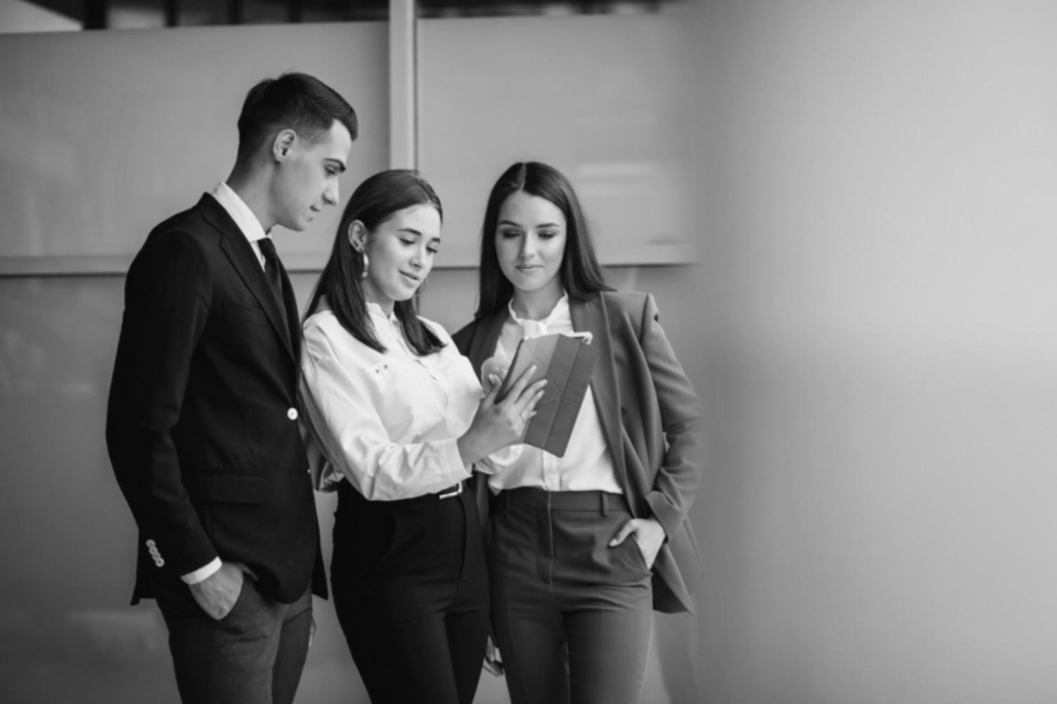 Client meeting discussing financial software implementation